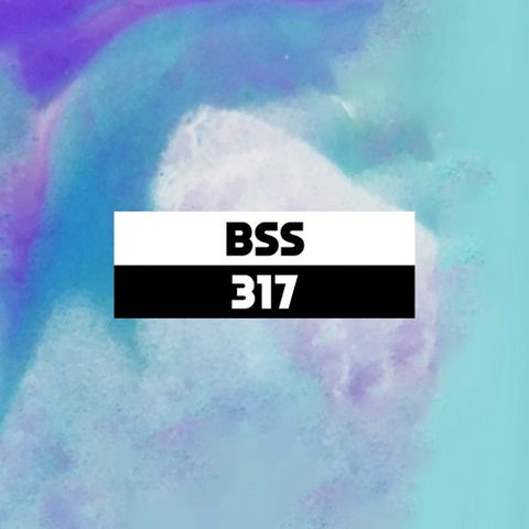 Dekmantel Podcast 317 - BSS by dekmantel