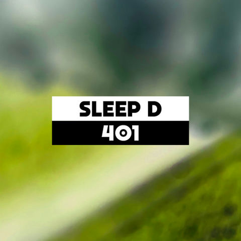 Dekmantel Podcast 401 - Sleep D by dekmantel