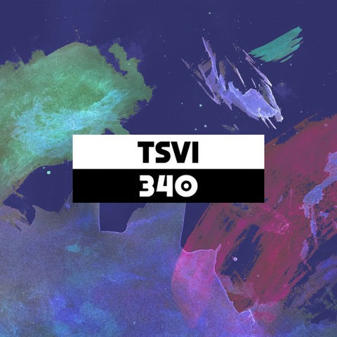 Dekmantel Podcast 340 - TSVI by dekmantel