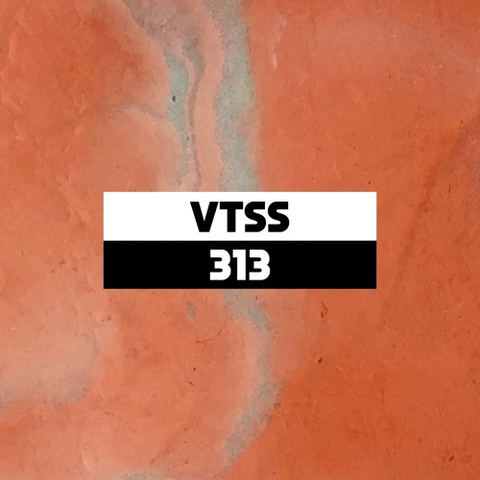Dekmantel Podcast 313 - VTSS by dekmantel