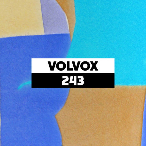 Dekmantel Podcast 243 - Volvox by dekmantel