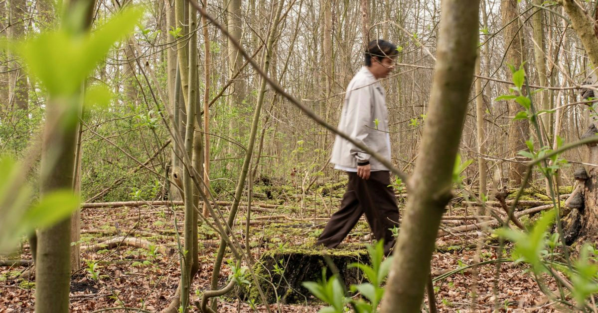 Between fiction and nature. A walk around the woods with Jonathan Castro Alejos
